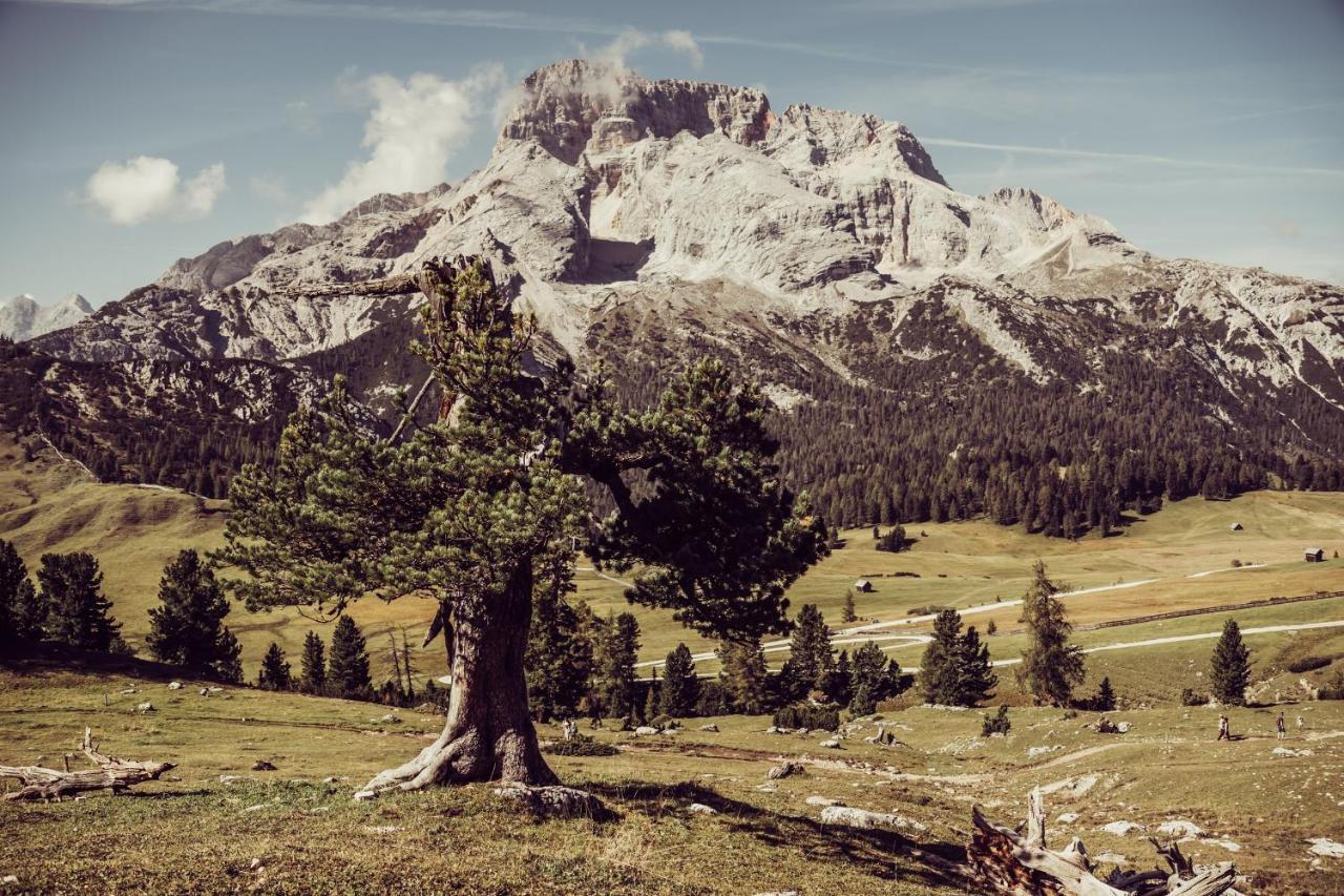 Hotel Garni Bergblick Braies  Zewnętrze zdjęcie